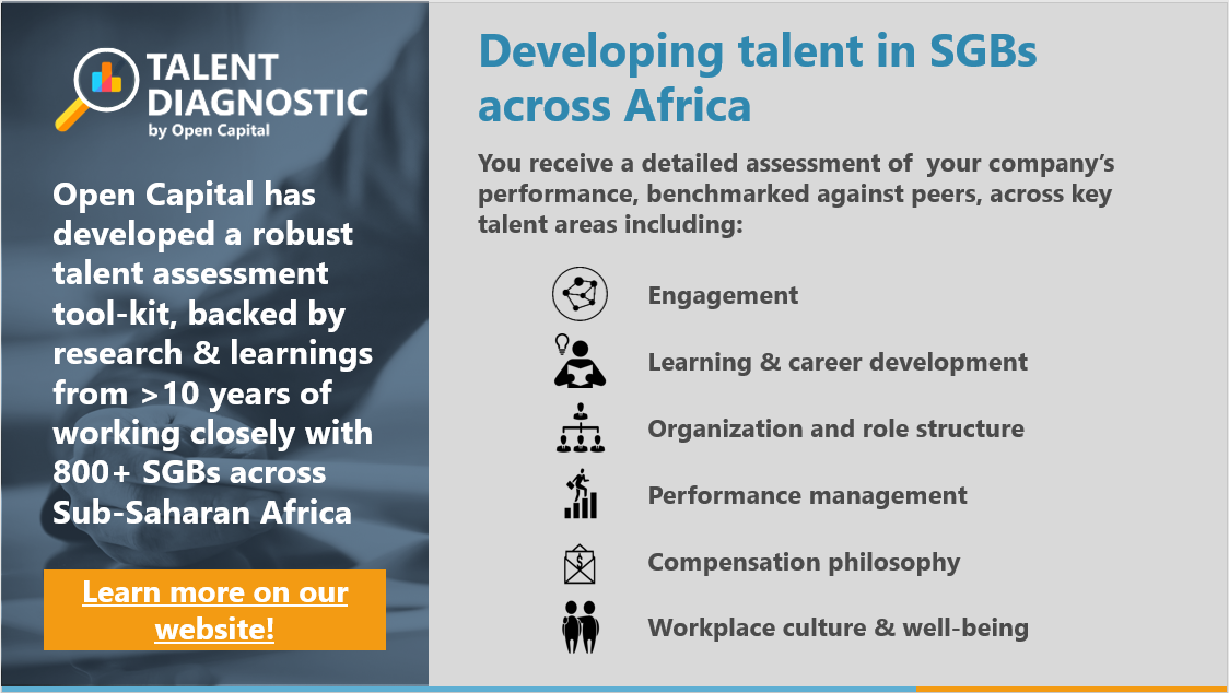 About Talent Diagnostic and how it addresses 3 key challenges SMEs face with talent development